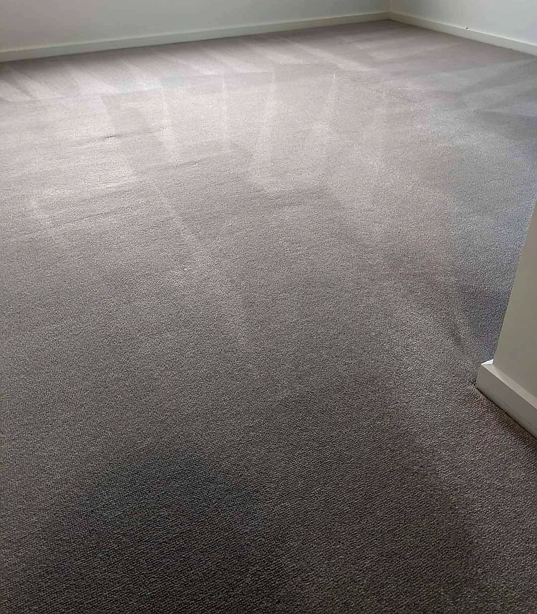 Carpet and Upholstery Cleaning